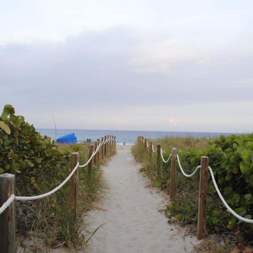 Meet your Posher, Riley